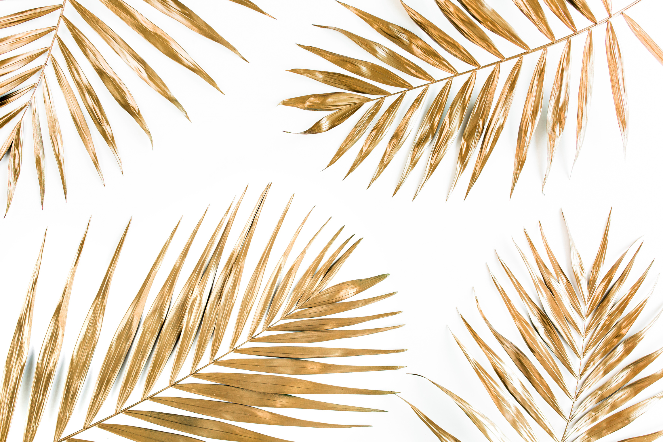 Golden Palm Leaves on White Background